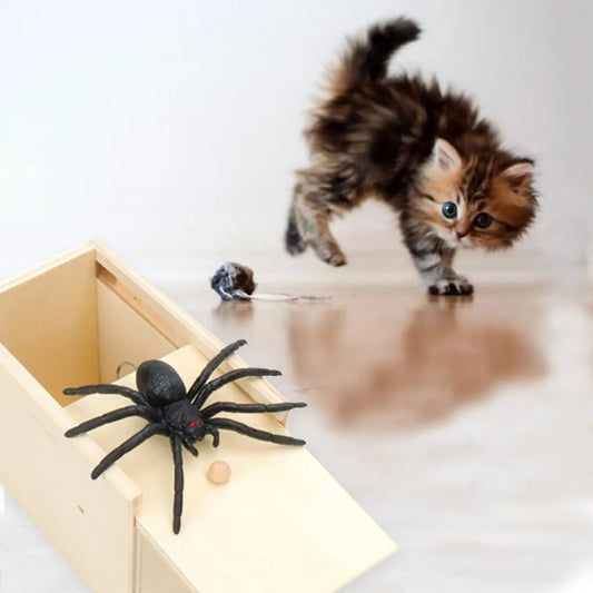 Trick Spider Box